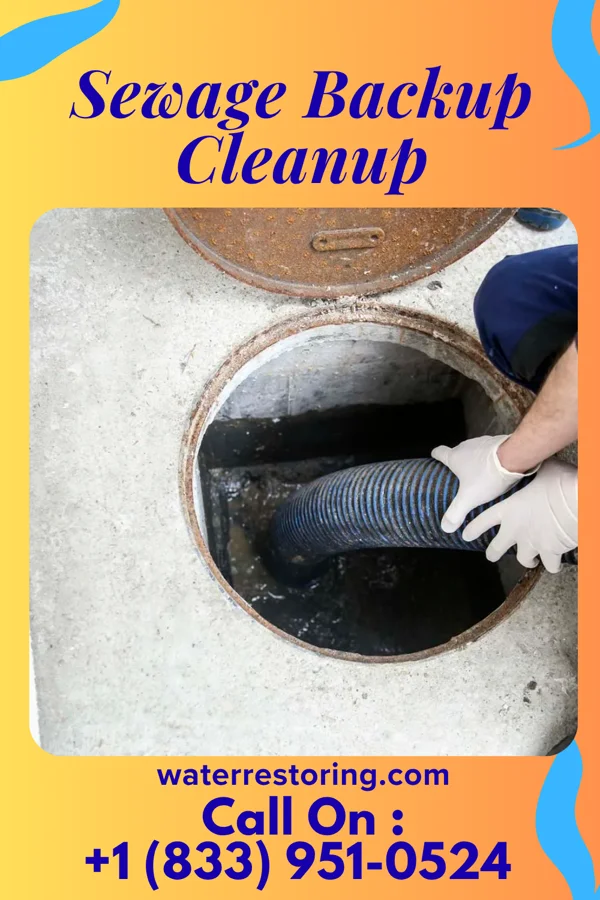 Sewage Backup Cleanup in Pella, WI